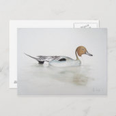 Carte Postale Canard à ongles 2011 (Devant / Derrière)