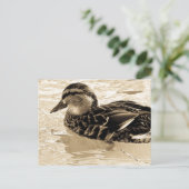 Carte Postale Canard à Sepia (Debout devant)