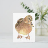 Carte Postale Canard, Animal De Ferme, Animaux (Debout devant)
