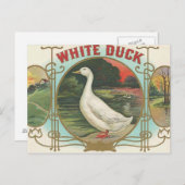 Carte Postale Canard blanc (Devant / Derrière)