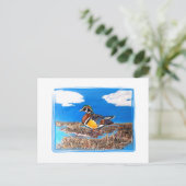 CARTE POSTALE CANARD BOISÉ (Debout devant)