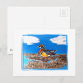 CARTE POSTALE CANARD BOISÉ (Devant / Derrière)