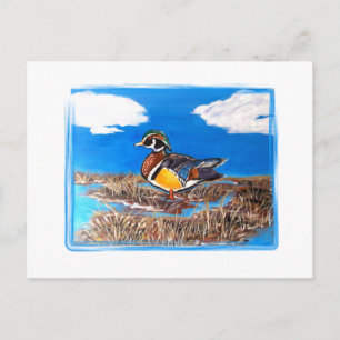 CARTE POSTALE CANARD BOISÉ