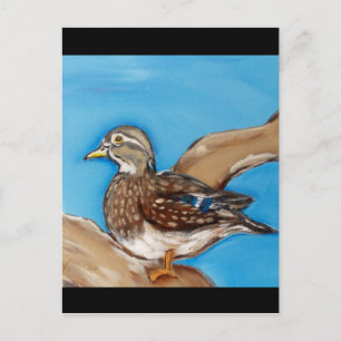 CARTE POSTALE CANARD BRANCHU