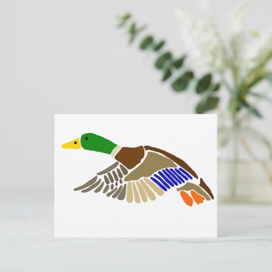 Carte Postale Canard colvert dans l'art de vol (Debout devant)