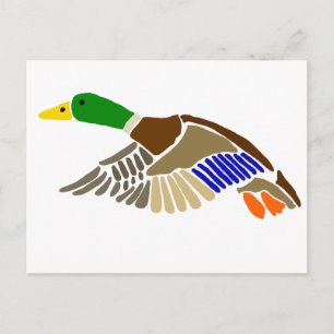 Carte Postale Canard colvert dans l'art de vol