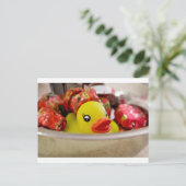 Carte Postale Canard dans Candy (Debout devant)