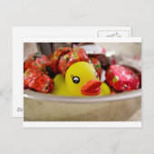 Carte Postale Canard dans Candy (Devant / Derrière)