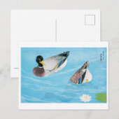 Carte Postale Canard dans l'étang, Goyō Hashiguchi (Devant / Derrière)