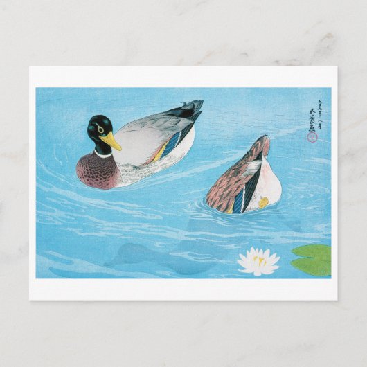 Carte Postale Canard dans l'étang, Goyō Hashiguchi (Devant)