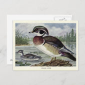 Carte Postale canard de bois (Devant / Derrière)