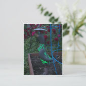 Carte Postale Canard de jardin (Debout devant)