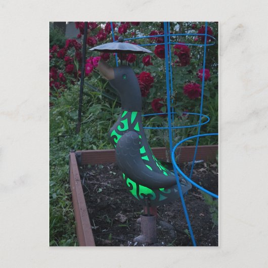 Carte Postale Canard de jardin (Devant)