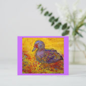 Carte Postale canard de muscovy (Debout devant)