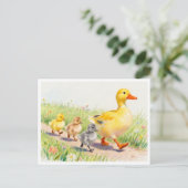 Carte Postale Canard drôle et canetons (Debout devant)