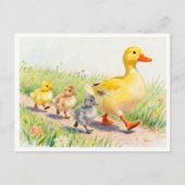 Carte Postale Canard drôle et canetons (Devant)