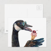 Carte Postale Canard du Canada avec de la glace (Devant / Derrière)