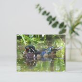 Carte Postale canard en bois (Debout devant)