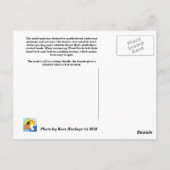Carte Postale canard en bois (Dos)