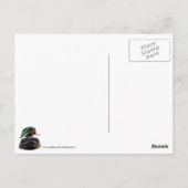 Carte Postale Canard en bois coloré (Dos)