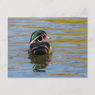 Carte Postale Canard en bois coloré