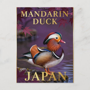 Carte Postale 🦆 Canard mandarin Japon Oiseau exotique