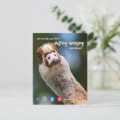 Carte Postale canard merveilleux agent immobilier fantastique ma (Debout devant)