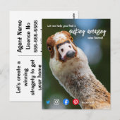 Carte Postale canard merveilleux agent immobilier fantastique ma (Devant / Derrière)