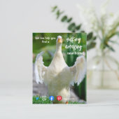 Carte Postale canard merveilleux génial marketing d'agent immobi (Debout devant)