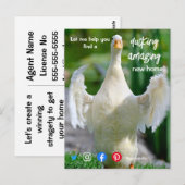 Carte Postale canard merveilleux génial marketing d'agent immobi (Devant / Derrière)