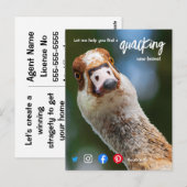 Carte Postale canard merveilleux génial marketing d'agent immobi (Devant / Derrière)