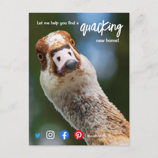 Carte Postale canard merveilleux génial marketing d'agent immobi (Devant)