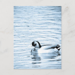 Carte Postale Canard métallique