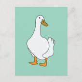Carte Postale Canard Oiseau Canard Blanc  (Devant)