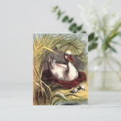 Carte Postale Canard vintage (Debout devant)