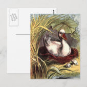 Carte Postale Canard vintage (Devant / Derrière)