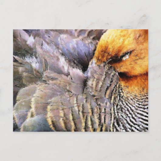 CARTE POSTALE CANARDS (Devant)