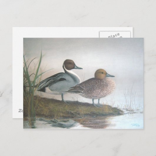Carte Postale Canards à ongles (Devant / Derrière)