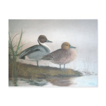 Canards à ongles