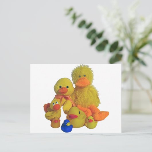 Carte Postale canards buncha (Debout devant)