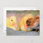 Carte Postale Canards caricaturaux et poussins (Devant / Derrière)