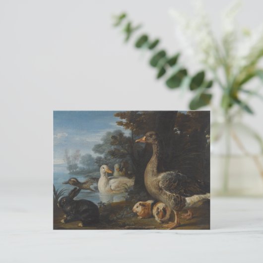 Carte Postale Canards Cochons de Guinée et un lapin dans un pays (Debout devant)