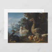 Carte Postale Canards Cochons de Guinée et un lapin dans un pays (Devant / Derrière)