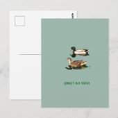 Carte Postale Canards colverts (Devant / Derrière)