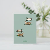 Carte Postale Canards colverts (Debout devant)