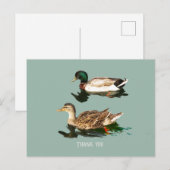 Carte Postale Canards colverts (Devant / Derrière)