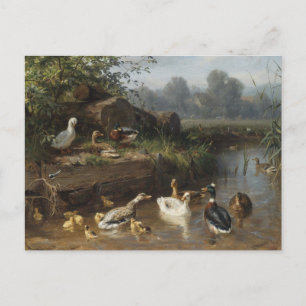 Carte Postale Canards dans le ruisseau par Carl Jutz