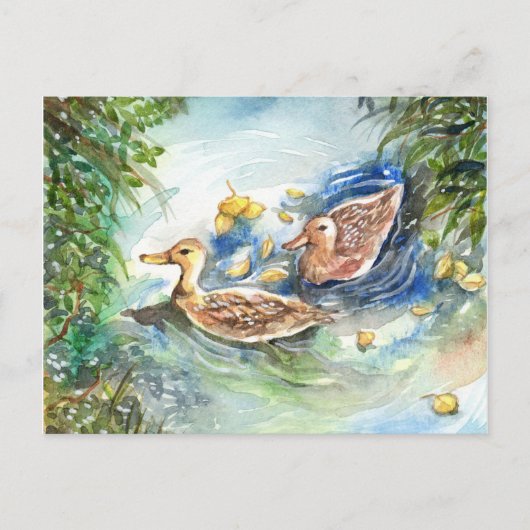 Carte Postale Canards Dans L'Étang (Devant)