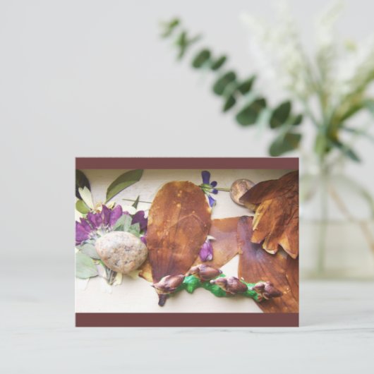 Carte postale Canards de voyage (Debout devant)