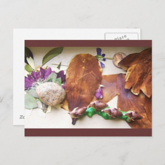 Carte postale Canards de voyage (Devant / Derrière)